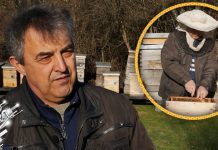 Спој здравља и туризма: Мед и апи терапија велики потенцијал у Зајечару (ВИДЕО) Спој здравља и туризма: Мед и апи терапија велики потенцијал у Зајечару