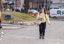 Време данас променљиво и ветровито, највиша дневна температура до 14 степени Град Зајечар – Центар