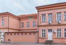 Поводом Дана школе „Десанка Максимовић“ у Зајечару, ученици и запослени представили кратак филм (ВИДЕО) Основна школа „Десанка Максимовић” Зајечар