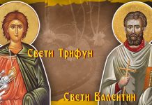 Неки славе данас Светог Трифуна, а неки Дан заљубљених Свети Трифун и Свети Валентин