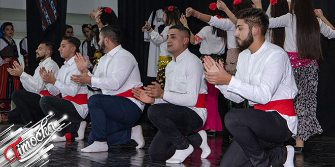 Фолклорна секција Друштва Рома &bdquo;Јовица Јоца Михаиловић&rdquo; Зајечар