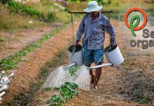 Сербиа Органика: Обуке из органске производње у Зајечару Сербиа Органика: Обуке из органске производње у Зајечару