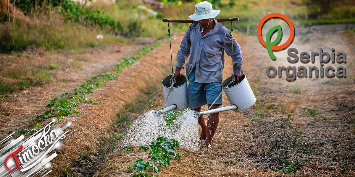 Сербиа Органика: Обуке из органске производње у Зајечару