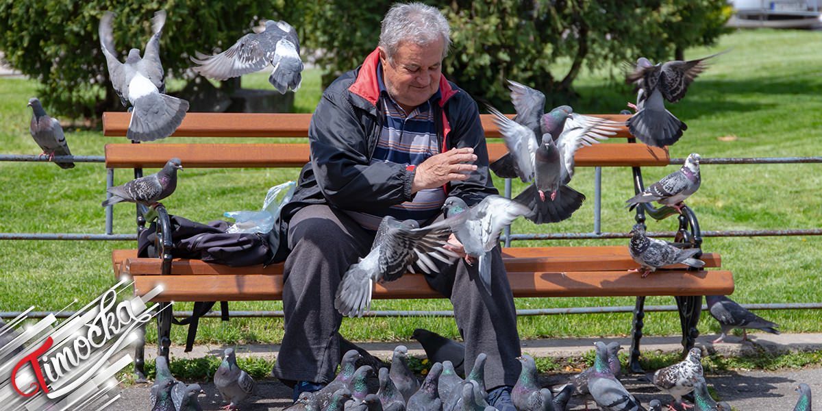 Stariji muškarac sedi na klupi i hrani golubove