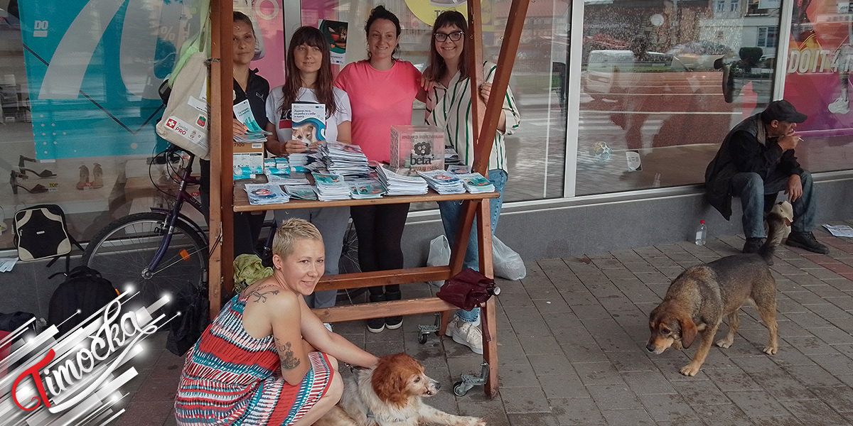 Акција прикупљања средстава за напуштене животиње у Зајечару