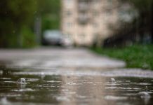 Тмурно и хладније: Падавине широм Србије, на планинама снежни покривач Киша, улица