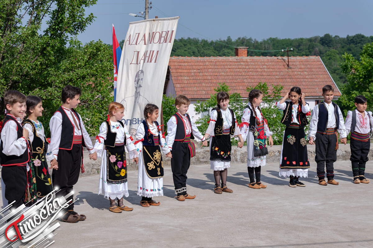 Манифестација 21. &bdquo;Дани Адама Богосављевића&rdquo;