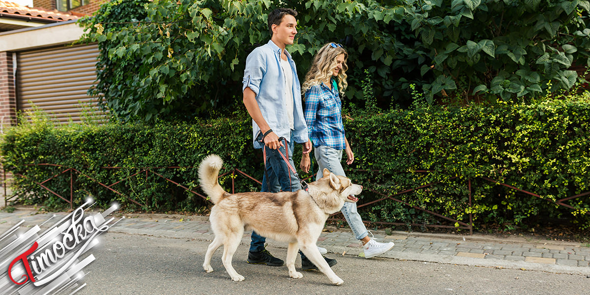 Momak i devojka šetaju psa