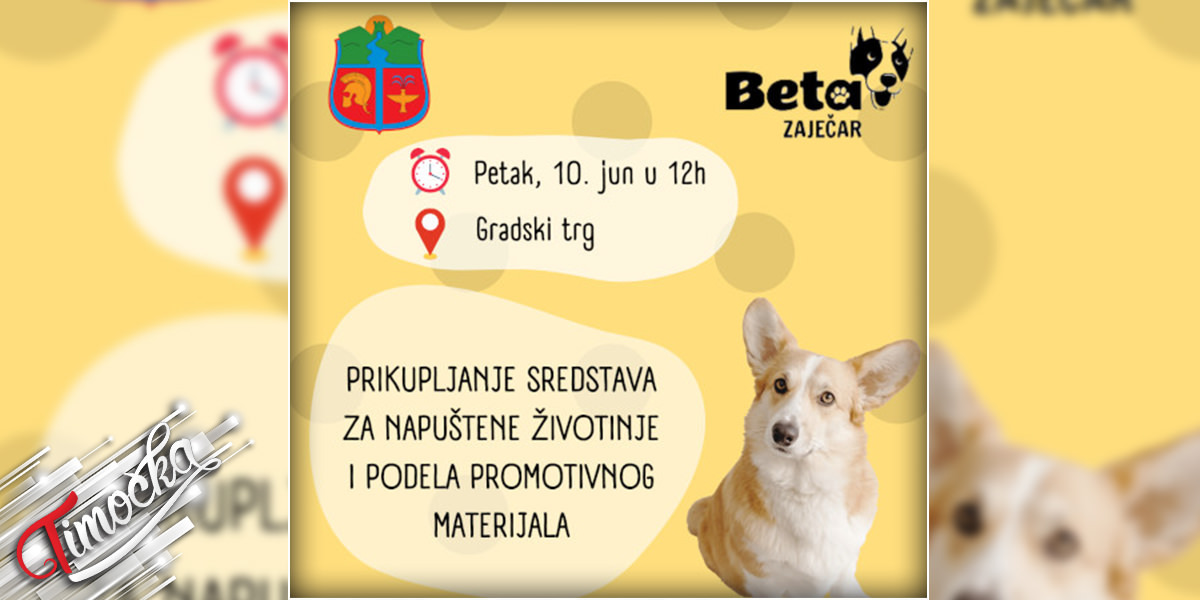 Прикупљање средстава за напуштене животиње и подела промотивног материјала у Зајечару