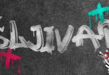 Спортска манифестација у Шљивару поводом празника Свете Тројице Шљивар – Графит