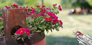 Претежно сунчано уз малу и умерену облачност и топлије Цвеће