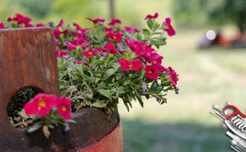 Претежно сунчано уз малу и умерену облачност и топлије Цвеће