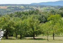 Сунчано и овог августовског дана, од понедељка променљиво време Природа, природни пејзаж