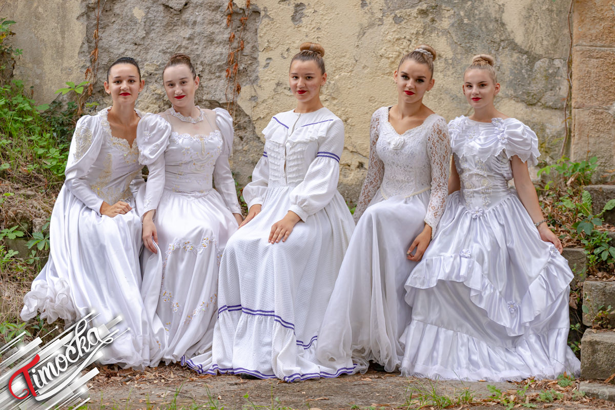 28. „Дани Брестовачке бање”