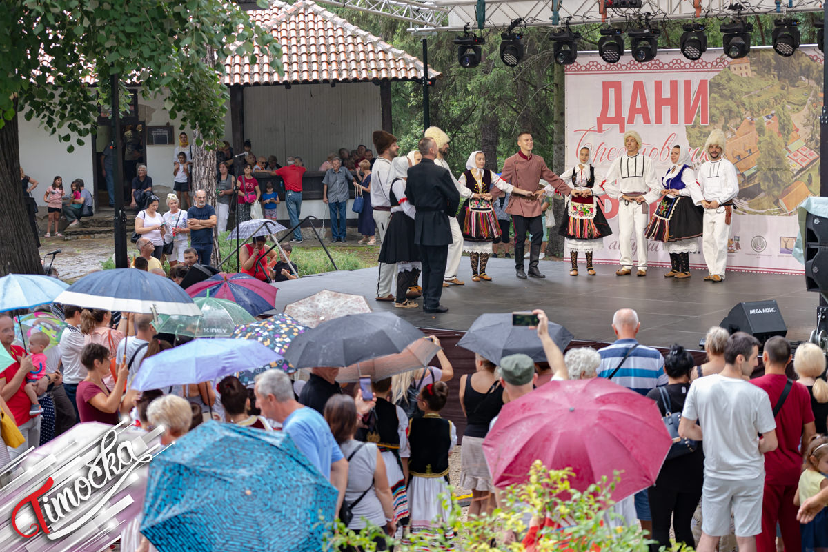 28. „Дани Брестовачке бање”