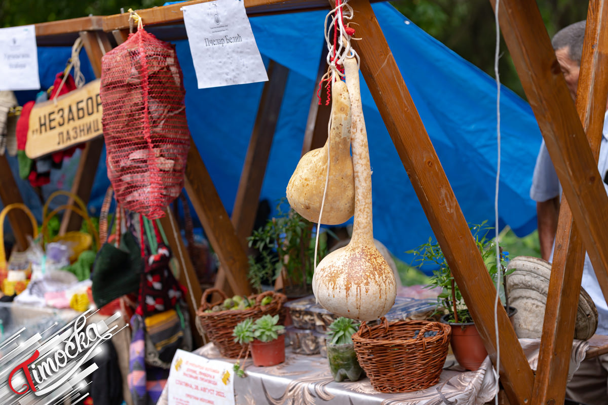 28. „Дани Брестовачке бање”