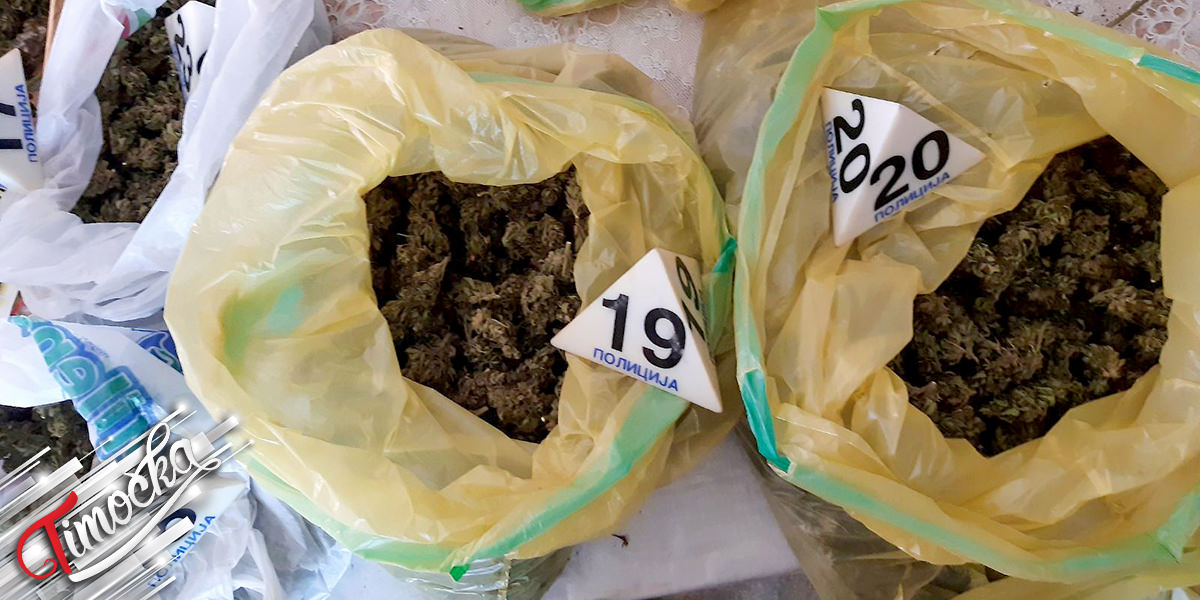 Ухапшен 49-годишњак из Доњег Милановца: Полиција приликом претреса пронашла преко 20 килограма марихуане