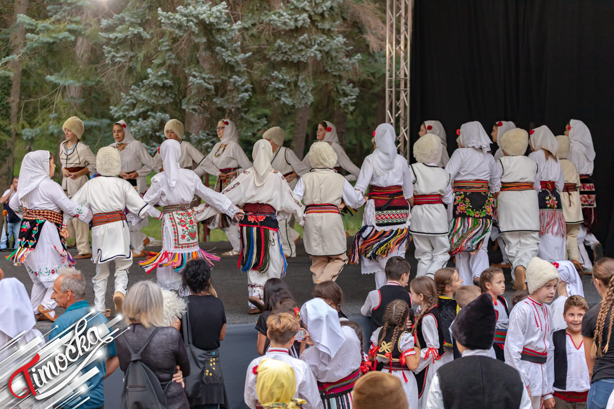 5. „Дани Гамзиградске Бање”