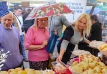 Гастро караван „Лепоте и Укуси Зајечара” овог викенда у граду на Тимоку (ФОТО) Гастро караван „Лепоте и Укуси Зајечара”