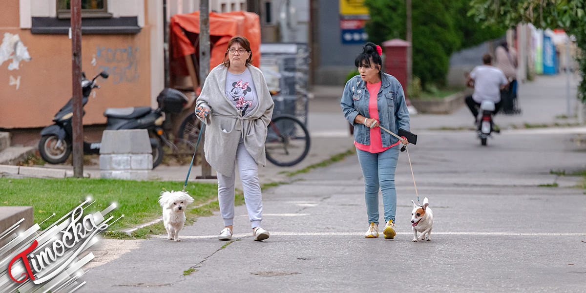 Град Зајечар &ndash; Жене шетају са својим псима