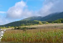 Веома топло и у већем делу земље претежно сунчано Природа, природни пејзаж