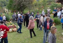 У Николичеву одржана традиционална манифестација 12. „Тиквијада” (ФОТО) 12. „Тиквијада” у Николичеву