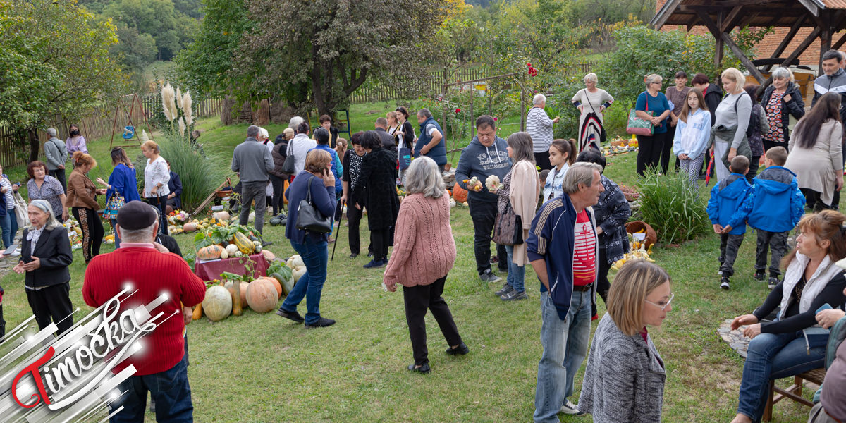 12. &bdquo;Тиквијада&rdquo; у Николичеву