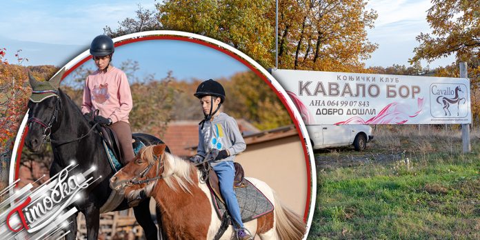 Коњички клуб „Cavallo” у атару села Злот поред Бора све посећенији