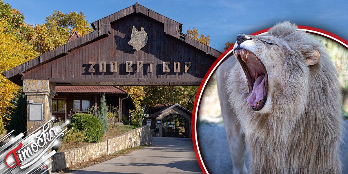 Зоолошки врт у Бору права атракција за посетиоце Зоолошки врт у Бору права атракција за посетиоце