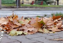 Делимично облачно, понегде киша Јесен, лишће