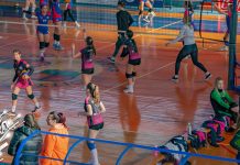 У Зајечару обележено 67 година одбојке У Зајечару обележено 67 година одбојке