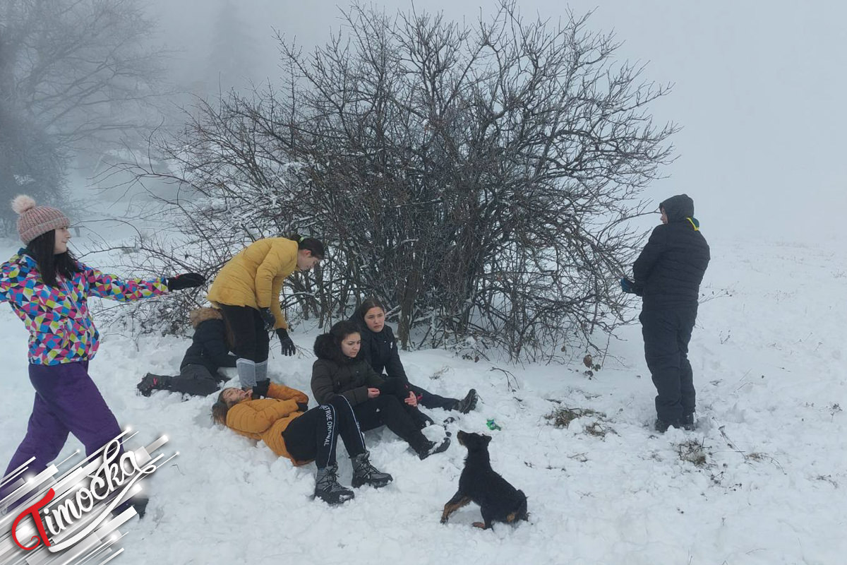 Зајечарски извиђачи на Столу