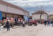 Стигао меркантилни кукуруз за сточаре у Великом Извору Стигао меркантилни кукуруз за сточаре у Великом Извору