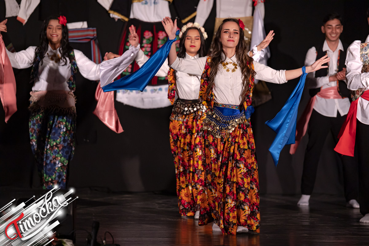 Фестивал „Плешимо заједно” одржан у Зајечару