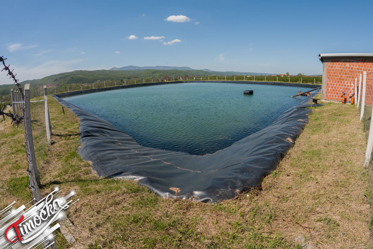 Председник Републике Србије Александар Вучић у посети Књажевцу