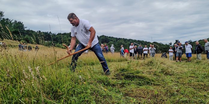 3. „Косидба на Столу” одржана у подножју планине Стол