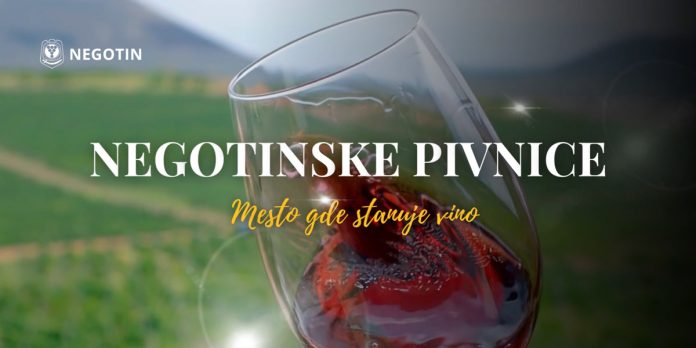 Неготинске пивнице: Да ли сте посетили места у којима не станују људи већ вино? Неготинске пивнице: Да ли сте посетили места у којима не станују људи већ вино?