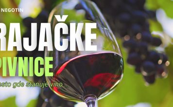 Рајачке пивнице: Место где станује вино (ВИДЕО) Рајачке пивнице: Место где станује вино