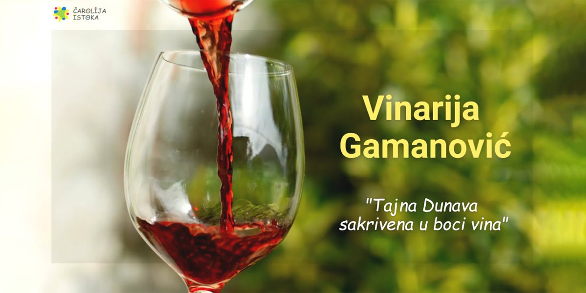 Винарија „Гамановић”: Тајна Дунава сакривена у боци вина (ВИДЕО)