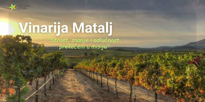 Винарија „Матаљ”: Страст, знање и одлучност преточени у мисију (ВИДЕО) Винарија „Матаљ”: Страст, знање и одлучност преточени у мисију (ВИДЕО)
