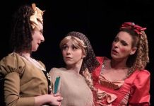 Представа за децу „Пепељуга“ у Неготину 11. јуна