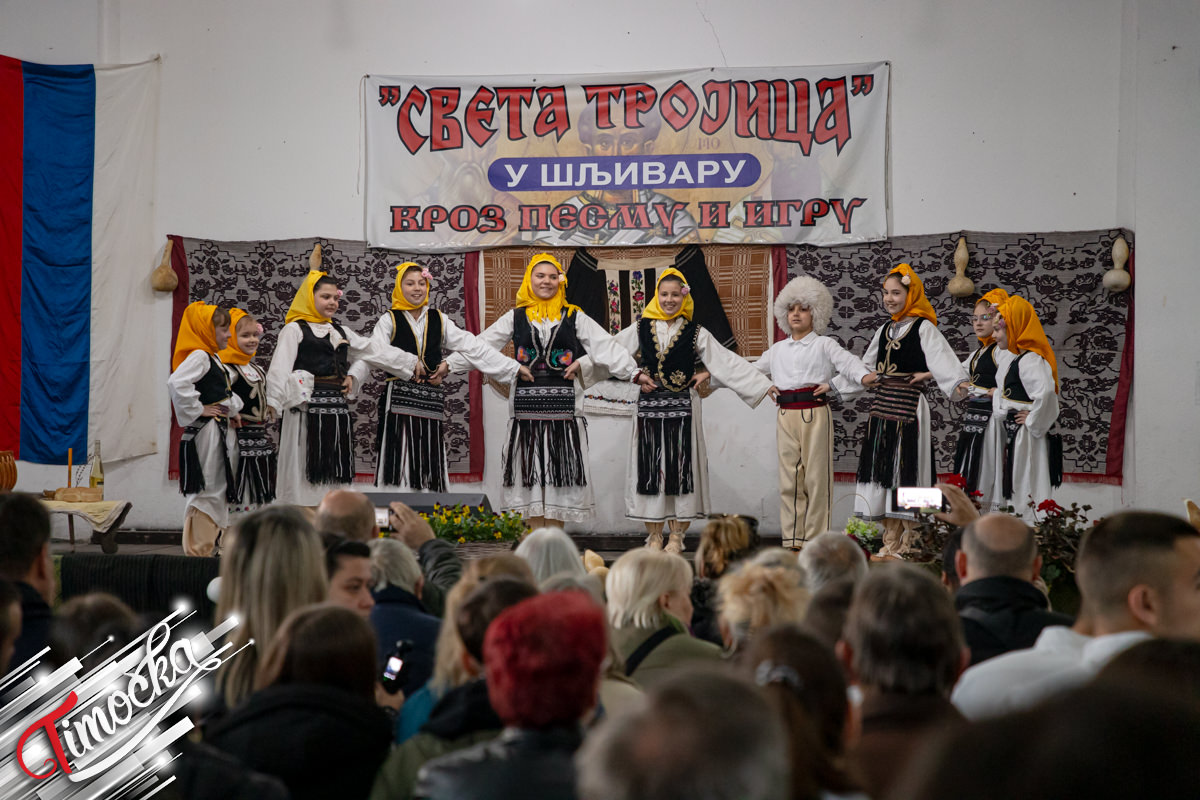 КУД „Живојин Жика Ивковић” из Шљивара обележио годишњицу постојања и рада