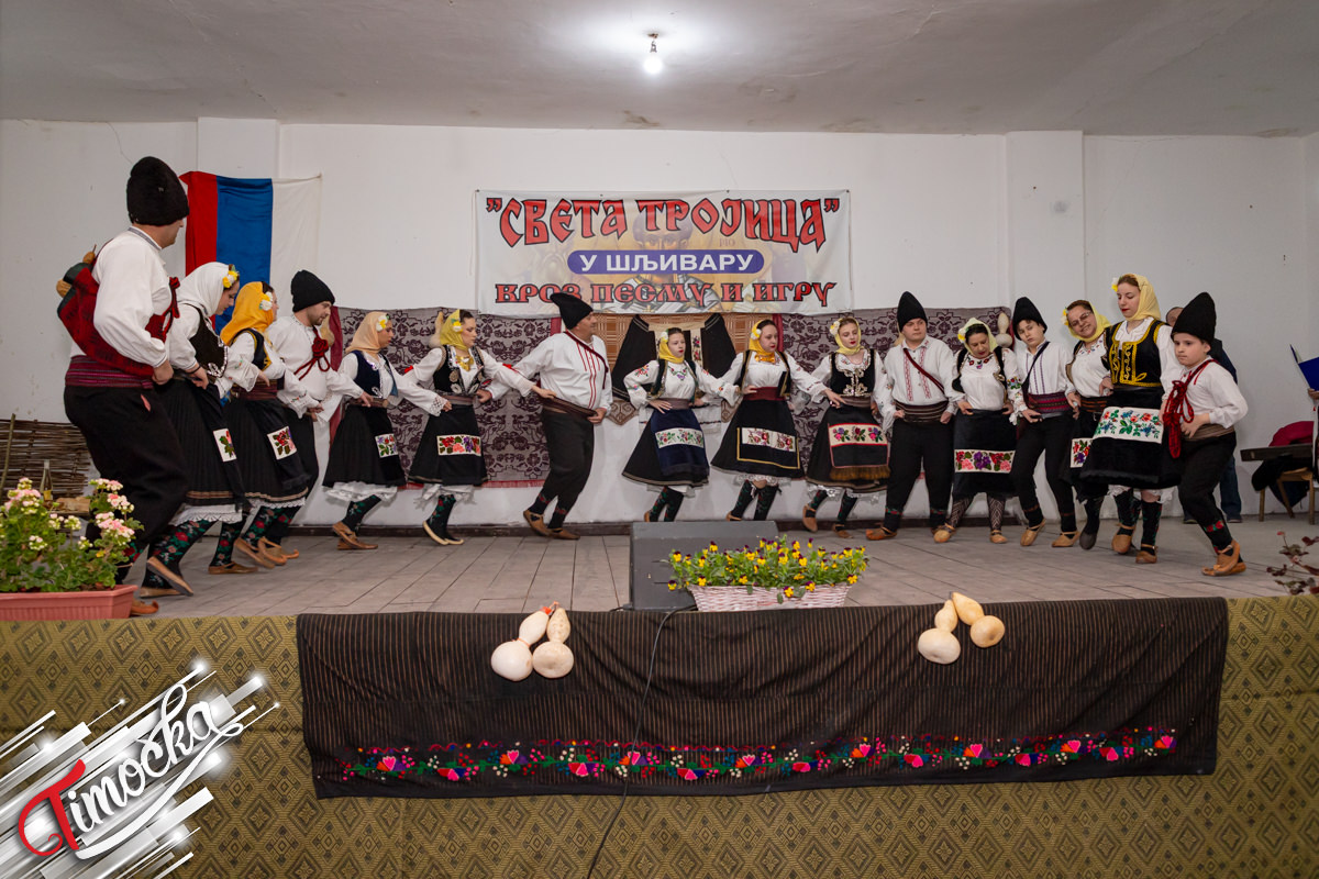 КУД „Живојин Жика Ивковић” из Шљивара обележио годишњицу постојања и рада