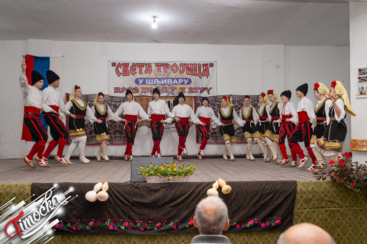 КУД „Живојин Жика Ивковић” из Шљивара обележио годишњицу постојања и рада