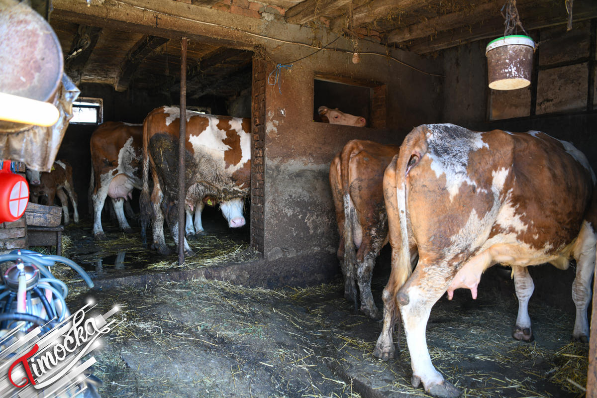 Улагања у села као темељ развоја пољопривреде: Гламочић и Виденовић обишли пољопривредна газдинства у Халову