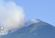 Пожар на планини Ртањ, гори ниско растиње