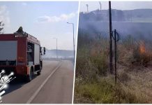 Локализован пожар у близини вашаришта и стадиона у Зајечару Локализован пожар у близини вашаришта и стадиона у Зајечару