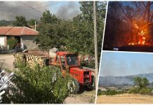 Трнавац: Ватра и даље прети, мештани и ватрогасци трећи дан у борби са пожаром Велика материјална штета у пожарима у Трнавцу