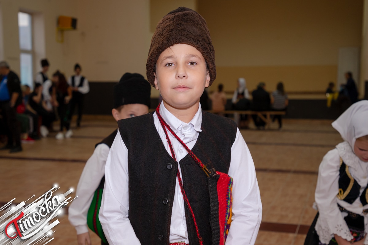 Миша Илић – КУД „Ромулијана” Гамзиград