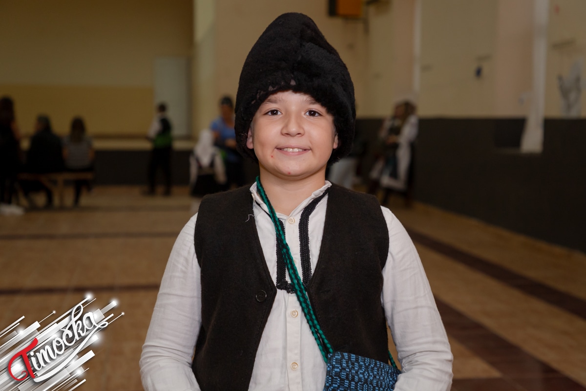 Вукашин Милошевић – КУД „Ромулијана” Гамзиград